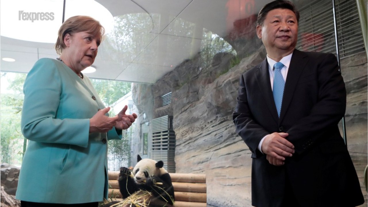 Avant le G20, les "pandas ambassadeurs" rapprochent Merkel et Xi