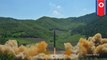 North Korea has launched new type of ICBM missile, says Pentagon