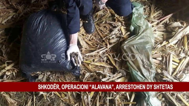 SHKODËR, OPERACIONI “ALAVANA”, ARRESTOHEN DY SHTETAS