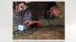 Central Coast Termite Services - Australian Pest Specialists