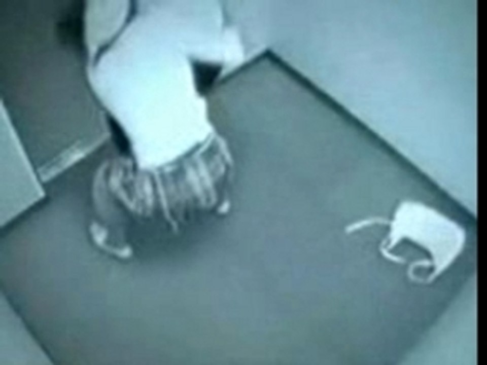 The Purse Thief