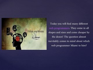 Custom Website Programmer Services in Miami