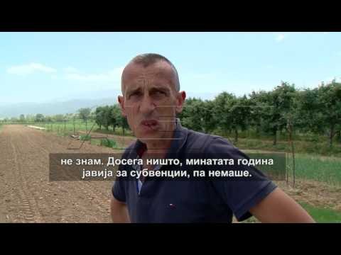 Тетово, земјоделците се жалат на селективна проценка на штетите од мразот