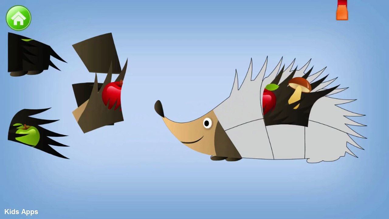 Animaux éducatif Anglais pour enfants Apprendre apprentissage vidéo Puzzle |