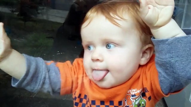 Bébés VS Fenetres - compilation