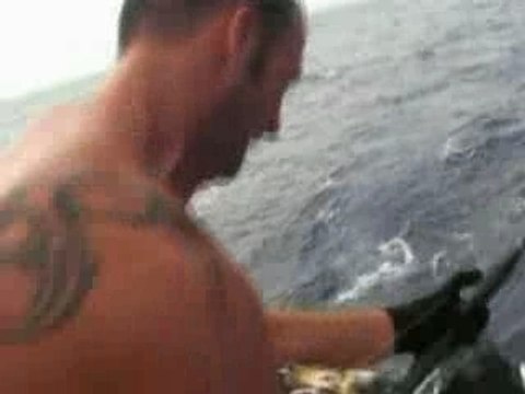 combat 4h15 avec thon rouge bosniac seriola&poisson rouge