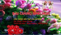 Bai giang Sinh hoc 9 - Bai 6 - Cac dang bai tap lai co ban