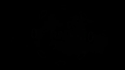 One of the best funny video compilation