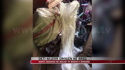 Deti nxjerr drogën në breg - News, Lajme - Vizion Plus