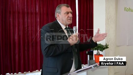 Kriza në Shqipëri, PD-ja drejt dorëzimit, shqyrtohet zgjidhja McAllister