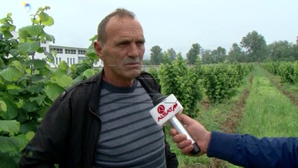 Субвенции; Финансии без одговор што по утрешната одлука на Уставен