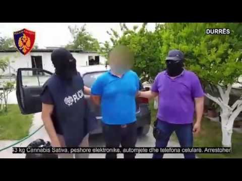 Operacioni Qerekë - Krujë, kapen 4 persona me 43 kg kanabis, gati për ta shitur në Tiranë
