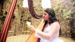 International Harpist playing bollywood songs for weddings in India