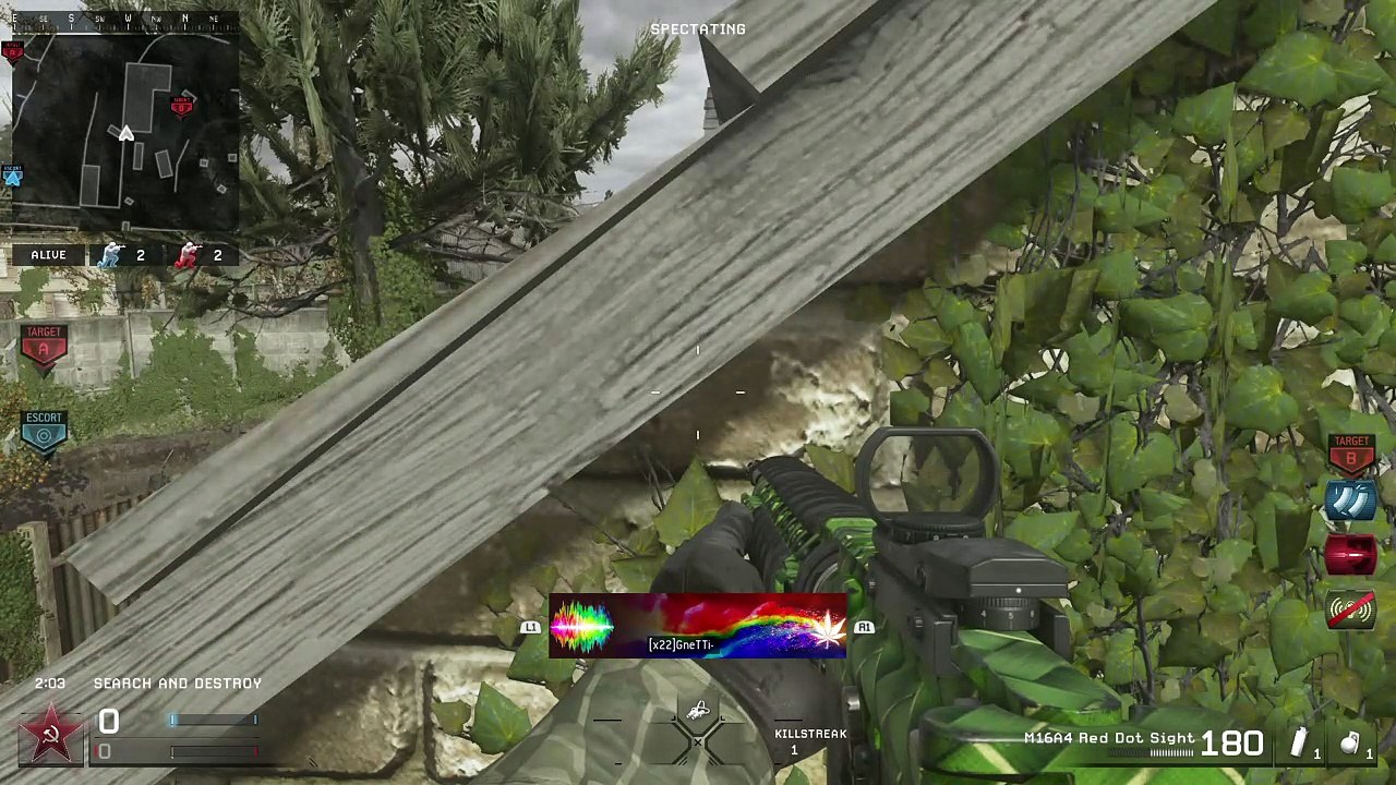 Overgrown Dispute
