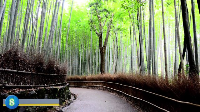 10 Top Most Visited Tourist Attractions in Japan Japan Travel Video Best Places to Visit Japan