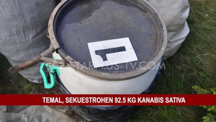 TEMAL, SEKUESTROHEN 92.5 KG KANABIS SATIVA