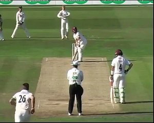 Best Ever Wicket Taking Celebration