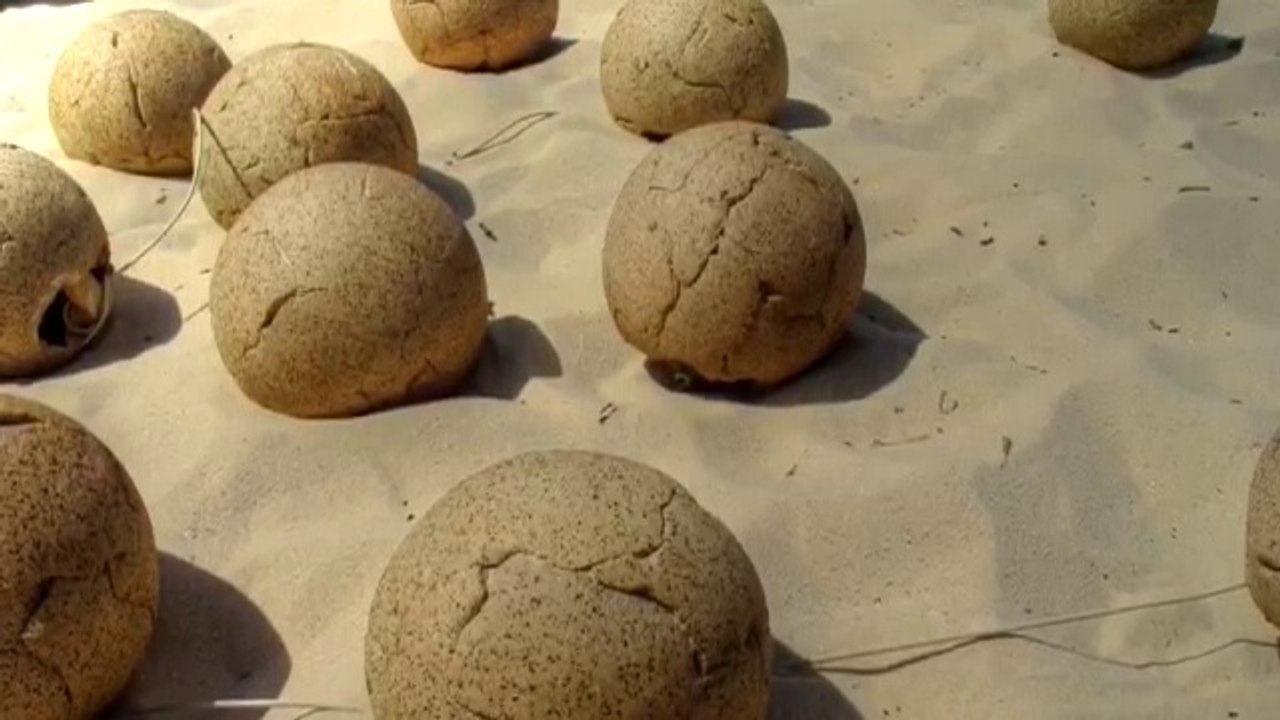 Soil Balls Inspirational Short Story.