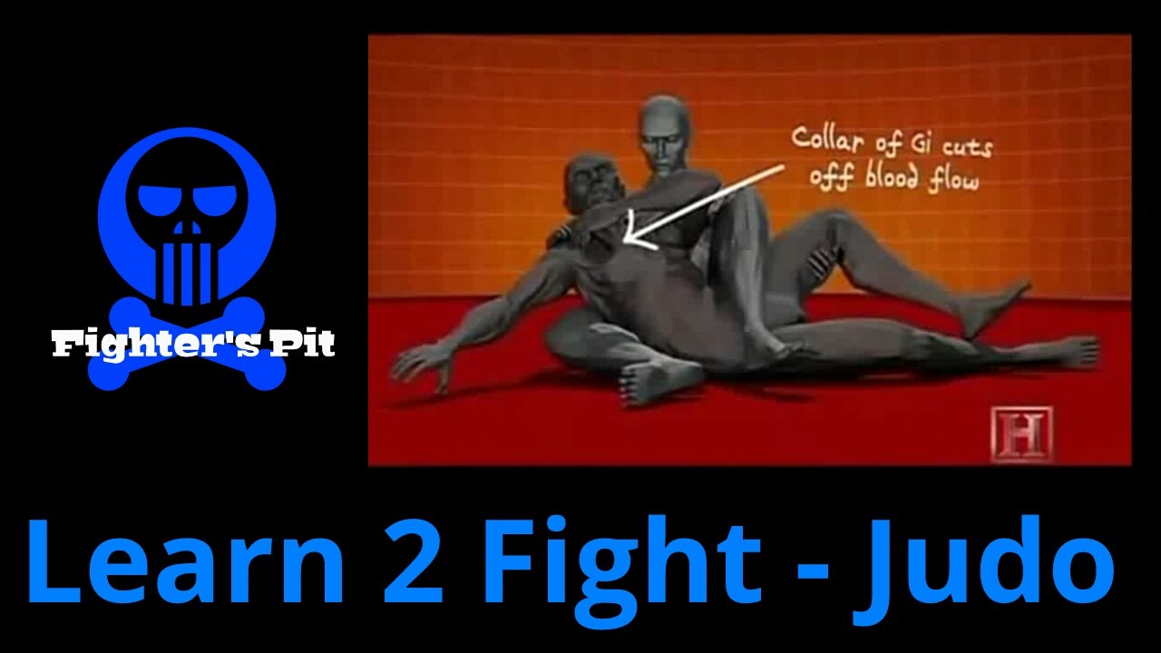 Learn 2 fight - Judo