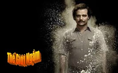 [Pablo Escobar-P4]. Hành trình trở thành tỷ phú của trùm ma túy Nam Mỹ