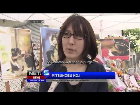 Kucing Kepala Stasiun Kishigiwa Jepang Meninggal Dunia - NET5