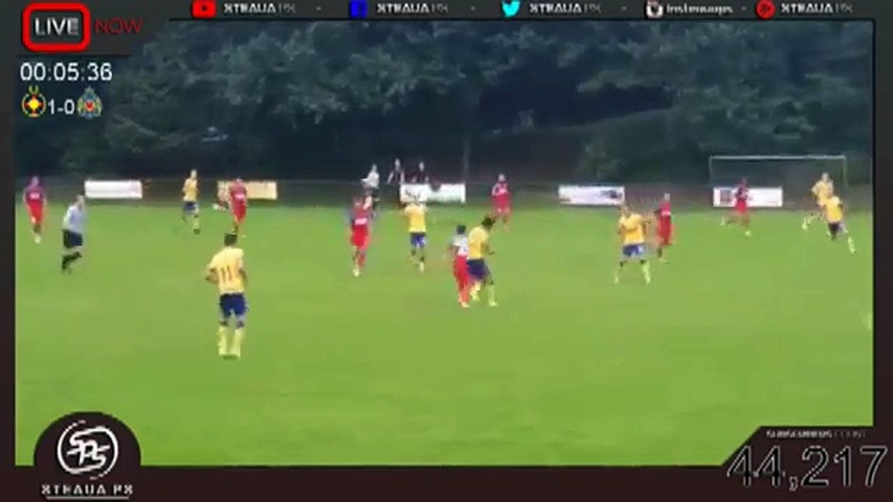 Steaua 2:0 Waasland-Beveren (5 July Friendly Match)