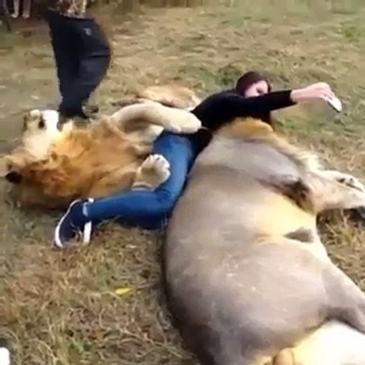 Selfie with lions