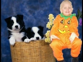 Les amours de toutes une vie