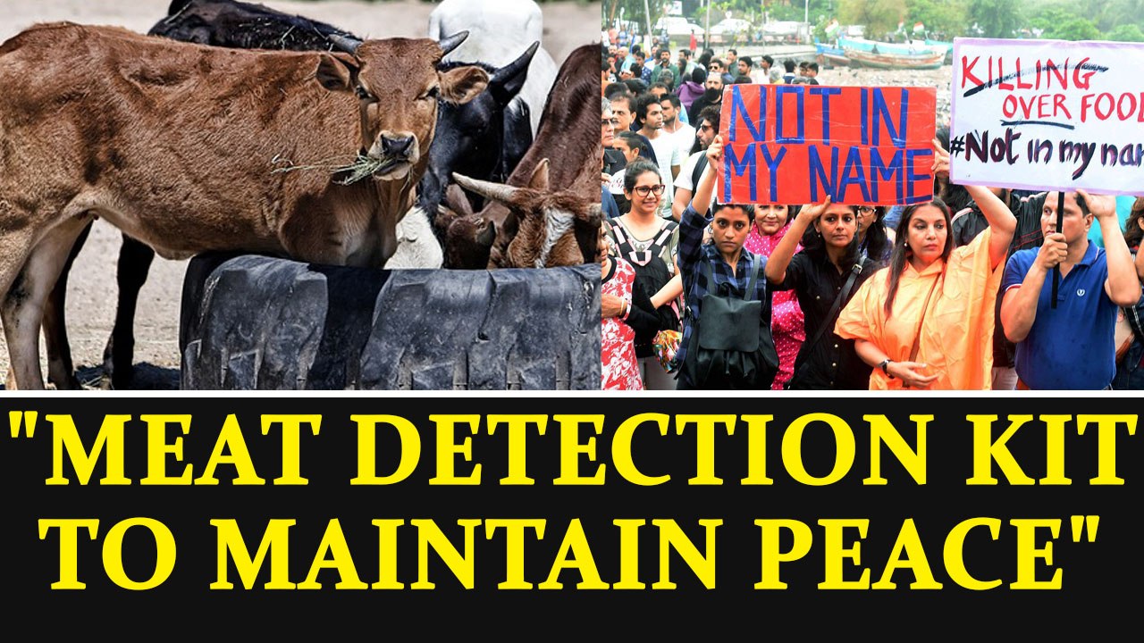 Cow-vigilantism lead to rolling of meat detection kits in Maharashtra | Oneindia News