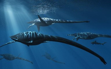 Le Mystère du Loch Ness - HD ST (2011)