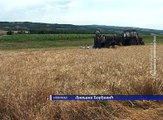 Počela žetva u svim opštinama ,  06. jul 2017 (RTV Bor)