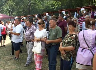 Hronika Žagubice, 06. jul 2017. (RTV Bor)