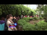 Aktifitas Konservasi Panda di Cina - NET12