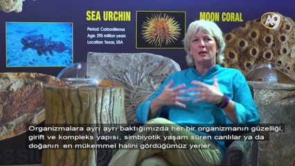 Dr. Anjeanette Roberts: Doğa, Doğrudan Allah'ın Varlığına İşaret Eder.