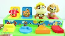 Pop UP Paw Patrol Patrulha Canina Abrindo Ovos Surpresas Eggs Suruguês