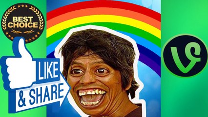 The funniest and most hilarious ANIMAL videos #1   Funny animal compilation   Watch & laugh! vine