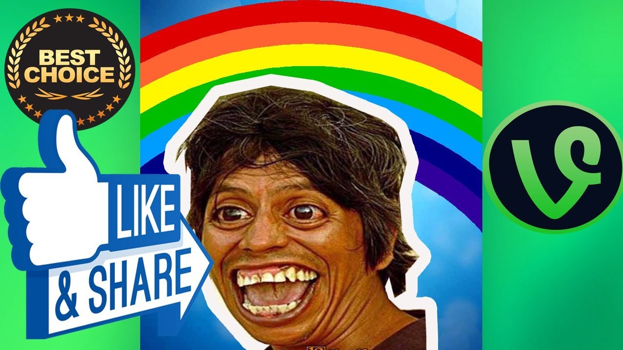 The funniest and most hilarious ANIMAL videos #1   Funny animal compilation   Watch & laugh! vine