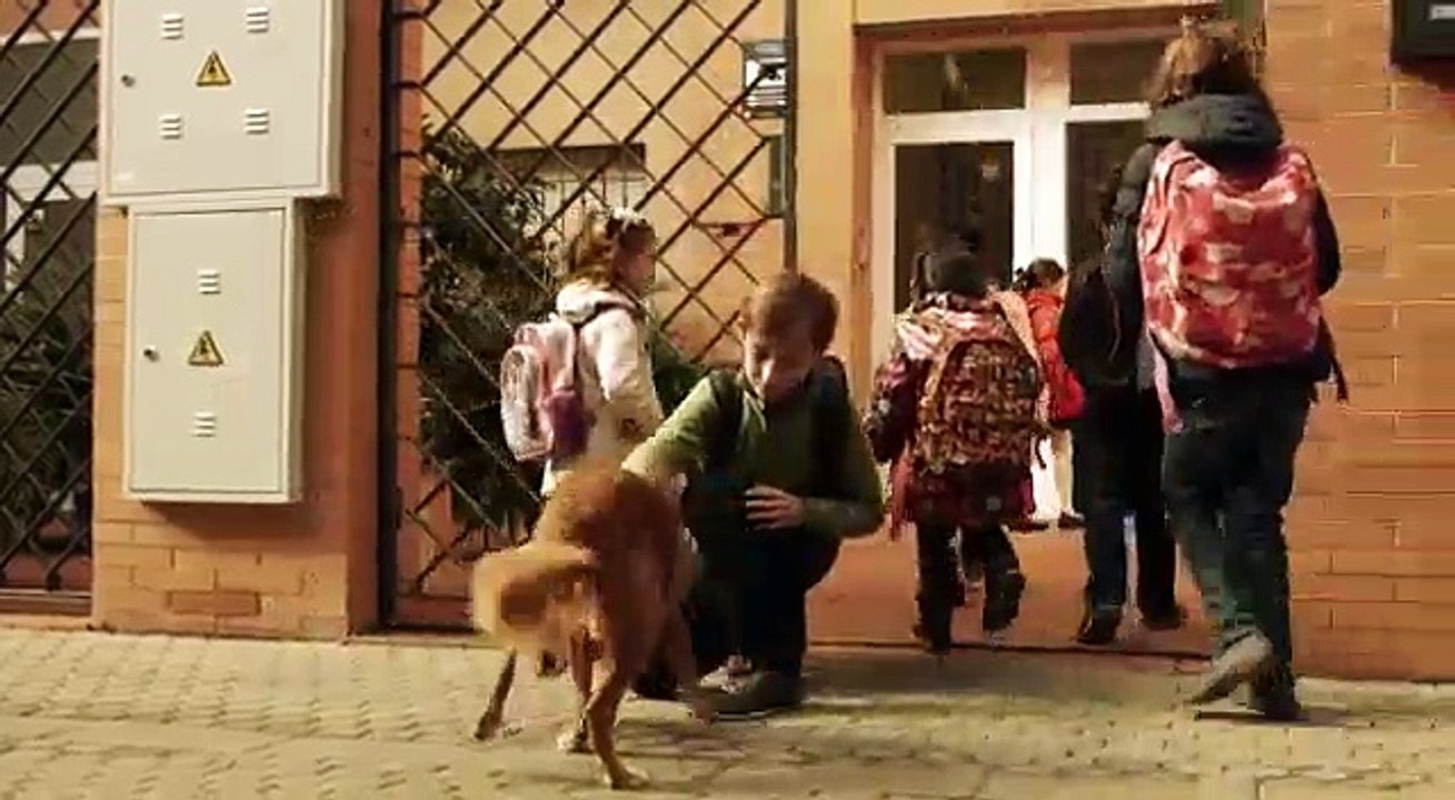 VID-UN AMIGO