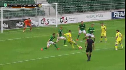 Ivan Firer Goal HD - Flora (Est)	2-1	Domzale (Slo) 06.07.2017