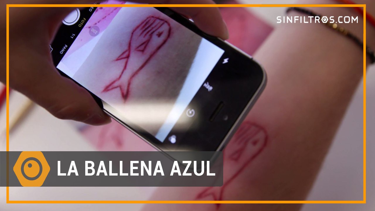 La Ballena Azul | Sinfiltros.com