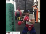 Floyd Mayweather Sparring Partner Jouse Vargas Got More Skills Than Conor McGregor - esnews boxing