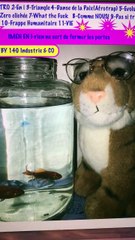 RIen ne sert de fermés les portes 2-En i