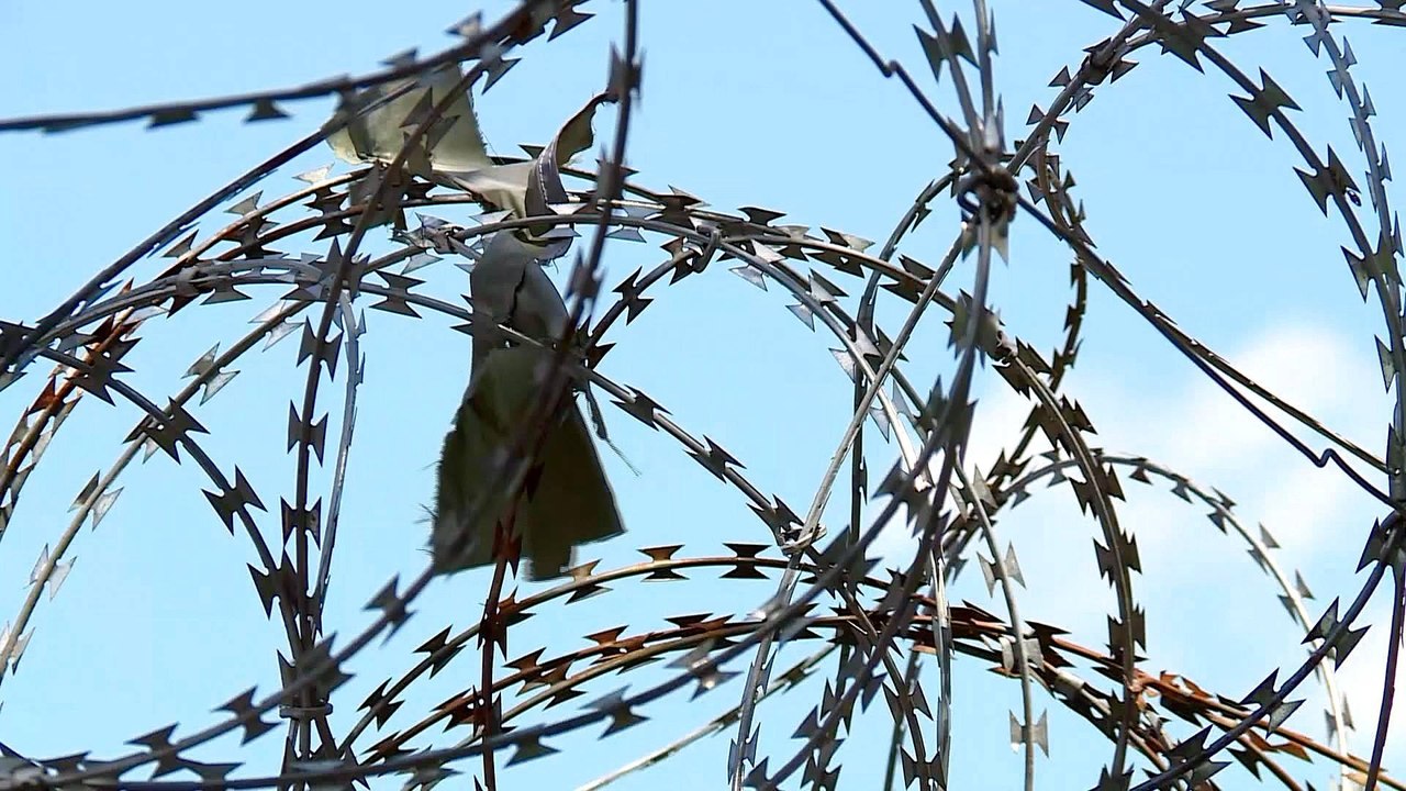 EU condemns Hungarian border control policies