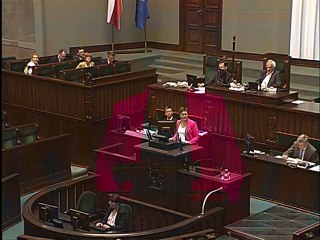 Katarzyna Lubnauer - 20.06.17