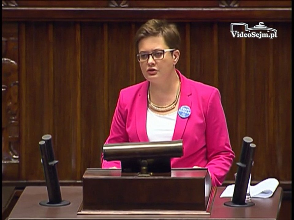 Katarzyna Lubnauer - 20.06.17
