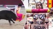 Animal cruelty: Topless activists protest against bullfighting, matador gored in scrotum - TomoNews