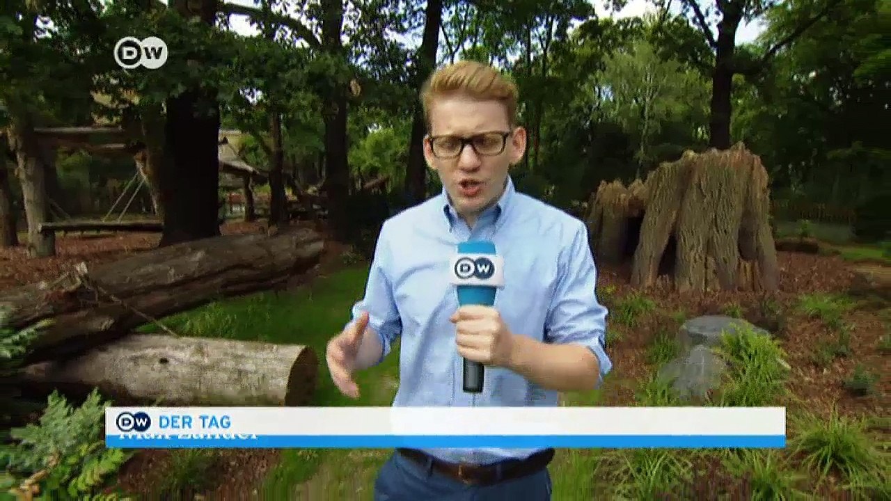 Berlin: Pandas mit Botschafterfunktion | DW Deutsch