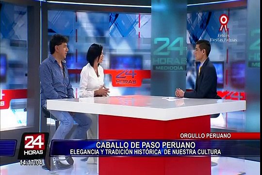 El Caballo de Paso Peruano un verdadero orgullo nacional