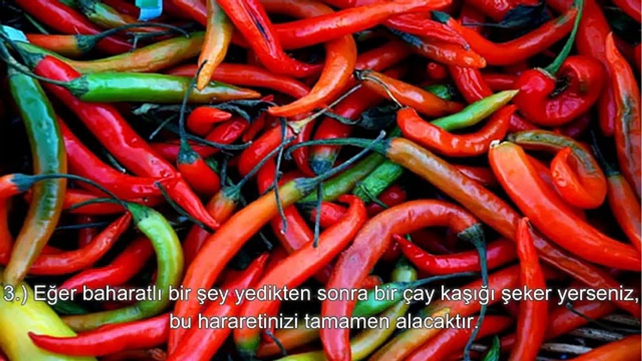 Hayatı Daha İlginç Yapan 17 Garip Bilgi-buyrun izleyin