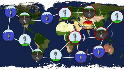 What Nuclear Bombs Taught Us About Whales